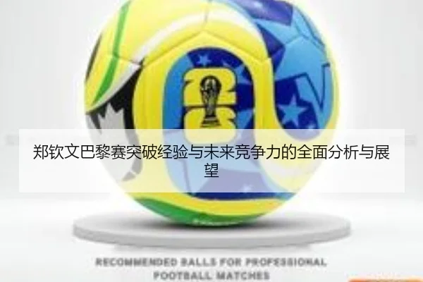 郑钦文巴黎赛突破经验与未来竞争力的全面分析与展望