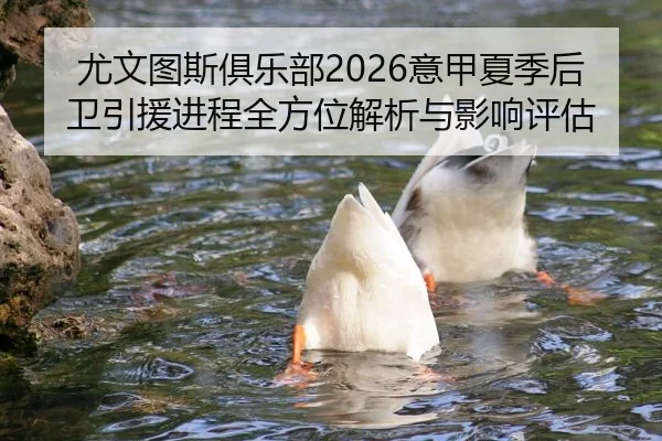 尤文图斯俱乐部2026意甲夏季后卫引援进程全方位解析与影响评估