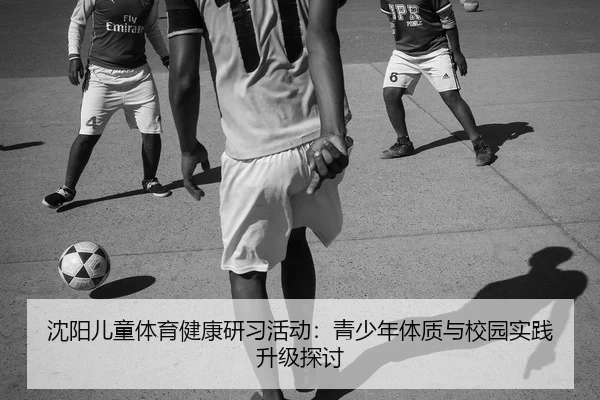 沈阳儿童体育健康研习活动：青少年体质与校园实践升级探讨